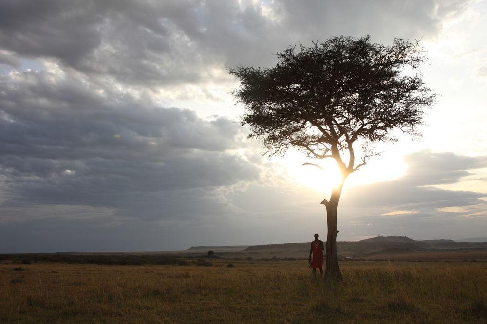 Hotel Rekero Camp Mara Simba Exterior foto